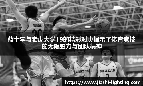 蓝十字与老虎大学19的精彩对决揭示了体育竞技的无限魅力与团队精神